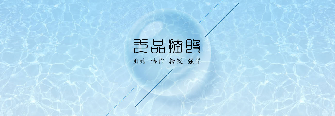 臻婉美專業(yè)團隊banner圖